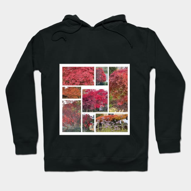 Foliage Collage Hoodie by Barschall